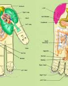 Refleksoloji Yaptırmak İçin 5 Sebep